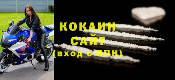 индика Абаза