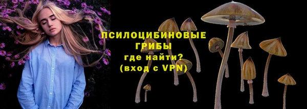 бошки Майский