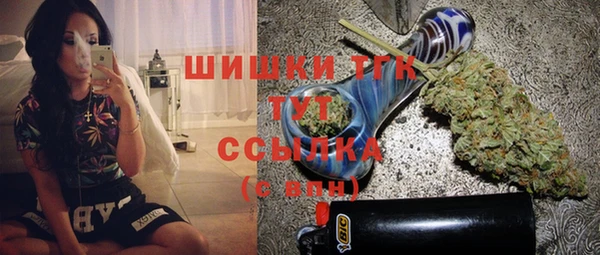 индика Абаза