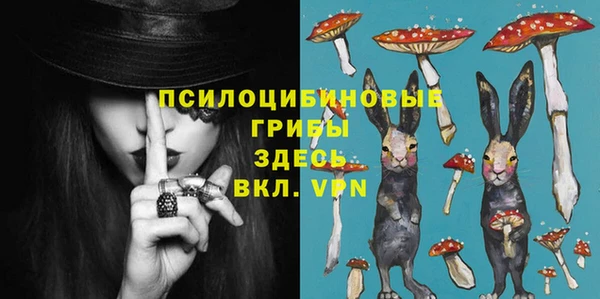 молекула духа Магас