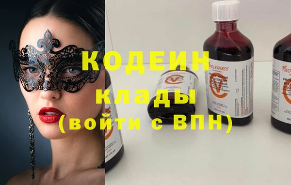 индика Абаза