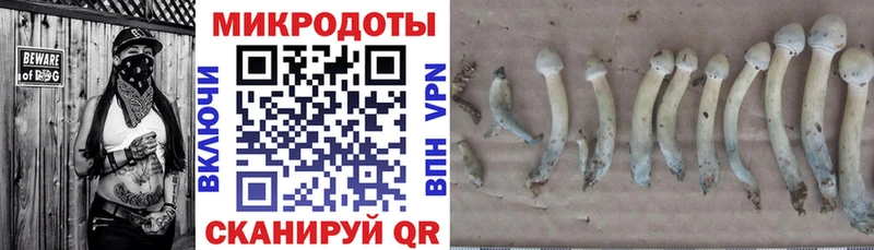 наркотики  Спас-Клепики  OMG вход  дарк нет формула  Галлюциногенные грибы GOLDEN TEACHER 